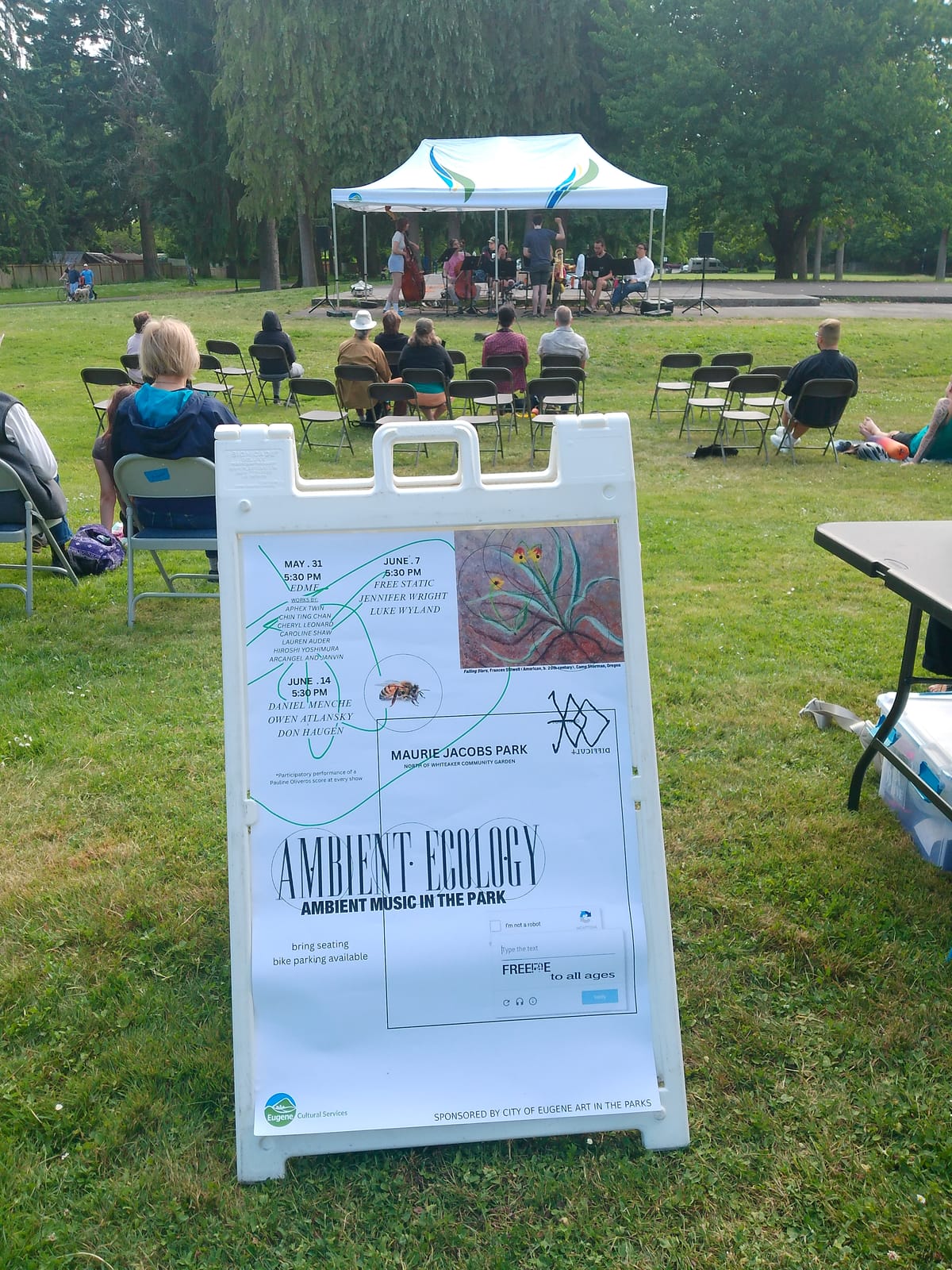 ambient ecology and synth school